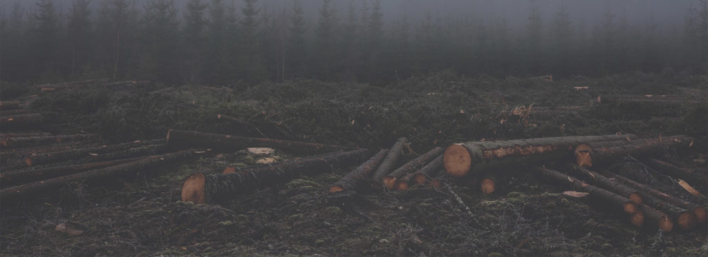 Pages – WP Gallery Styles